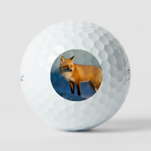 Brown Fox Golf Balls