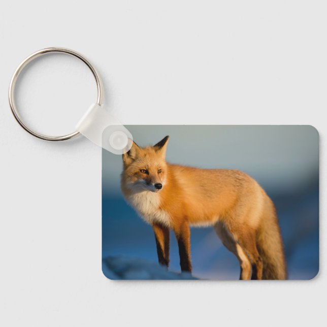 Brown Fox Key Ring (Back)