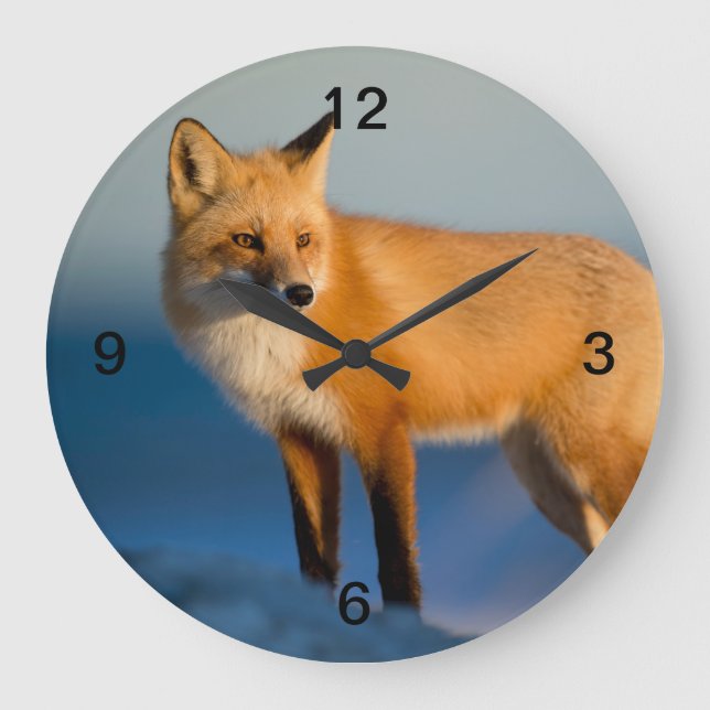 Brown Fox Large Clock (Front)