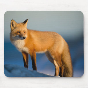 Brown Fox Mouse Pad