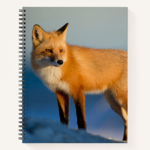 Brown Fox Notebook