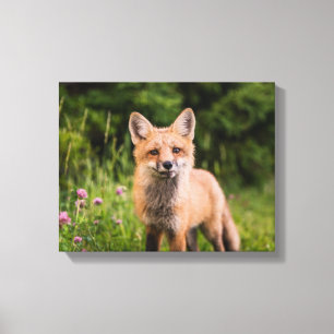 Brown Fox  on green grass Canvas Print