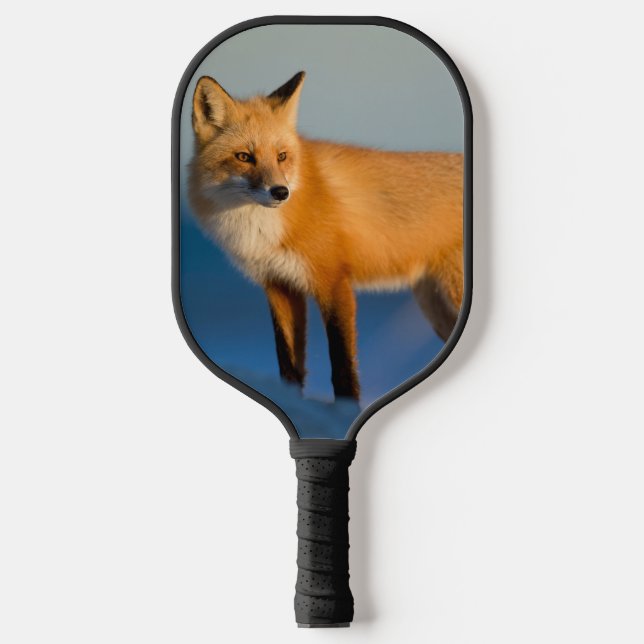 Brown Fox Pickleball Paddle (Front)