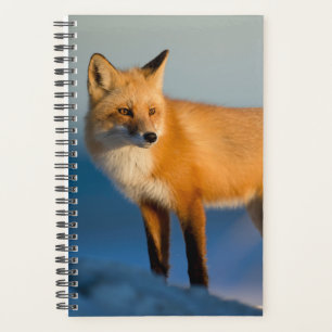Brown Fox Planner