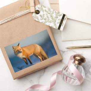 Brown Fox Rectangular Sticker