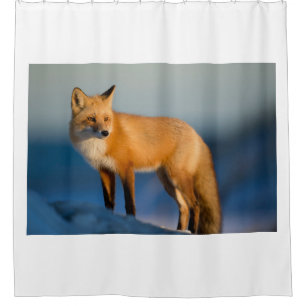 Brown Fox Shower Curtain