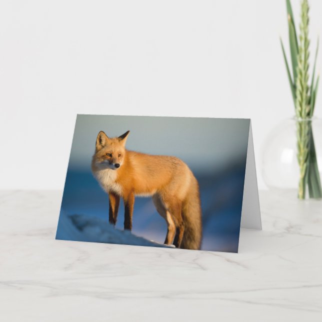 Brown Fox Thank You Card (Front)