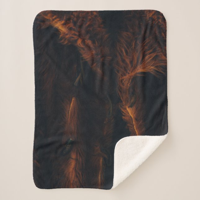 Brown fur coat sherpa blanket (Front)