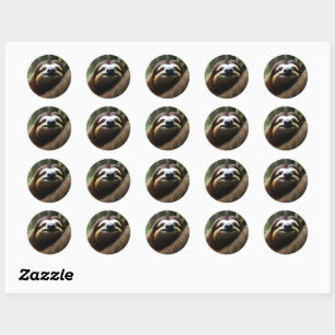 Brown Fuzzy Sloth,  Classic Round Sticker