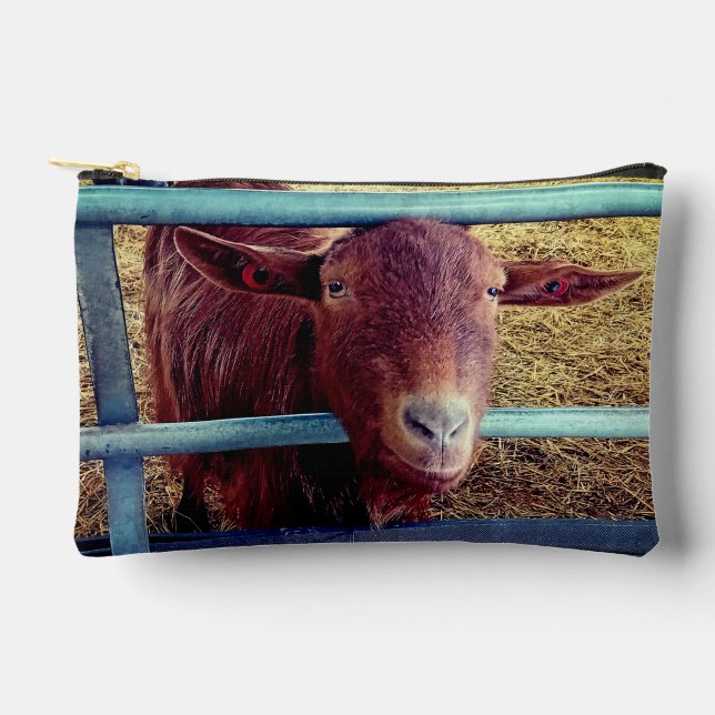 Brown goat accessory pouch (Front)