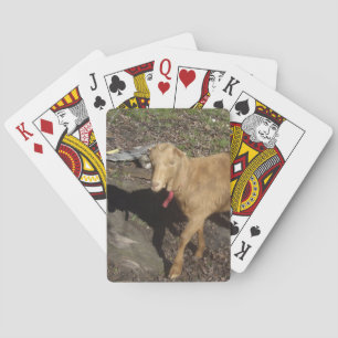 Brown Goat Playing Cards