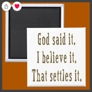 Brown God Said It Magnet