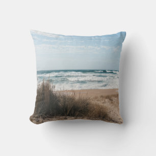 BROWN GRASS NEAR SEA UNDER BLUE SKY CUSHION