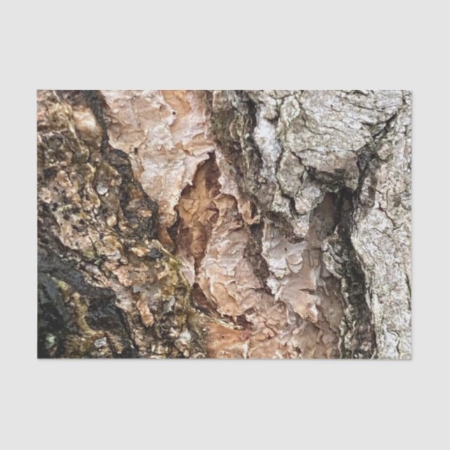Brown Grey Tree Bark Texture Old Photo Art Tissue Paper (Front)