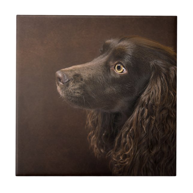 Brown-Haired Dog Tile (Front)