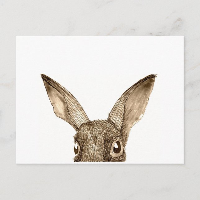 Brown Hare II Postcard (Front)
