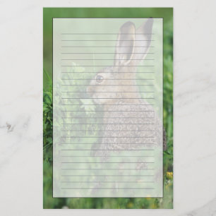 Brown Hare, Lepus europaeus, young eating, Stationery