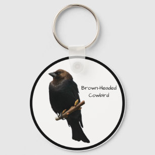 Brown-headed Cowbird Key Ring