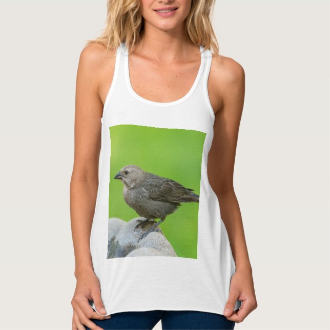 Brown Headed Cowbird Singlet (Front)
