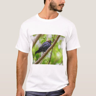 Brown Headed Cowbird T-Shirt