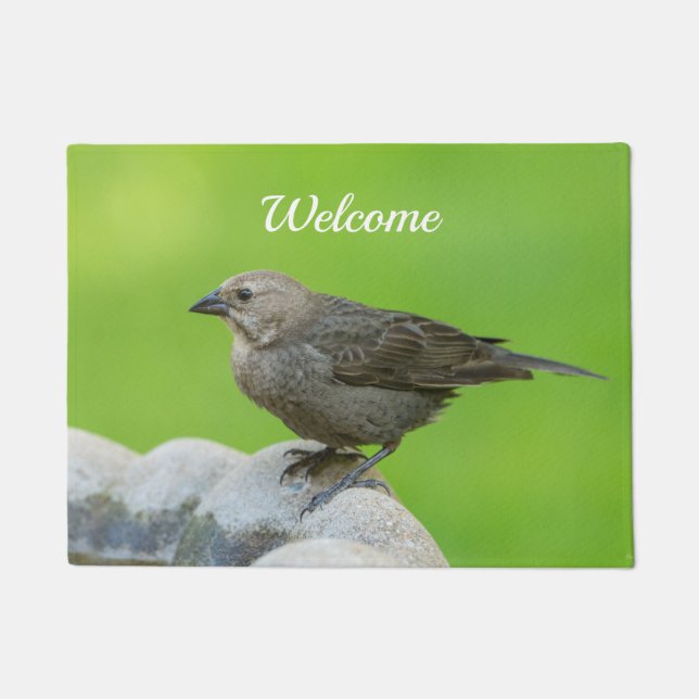 Brown Headed Cowbird Welcome Doormat (Front)