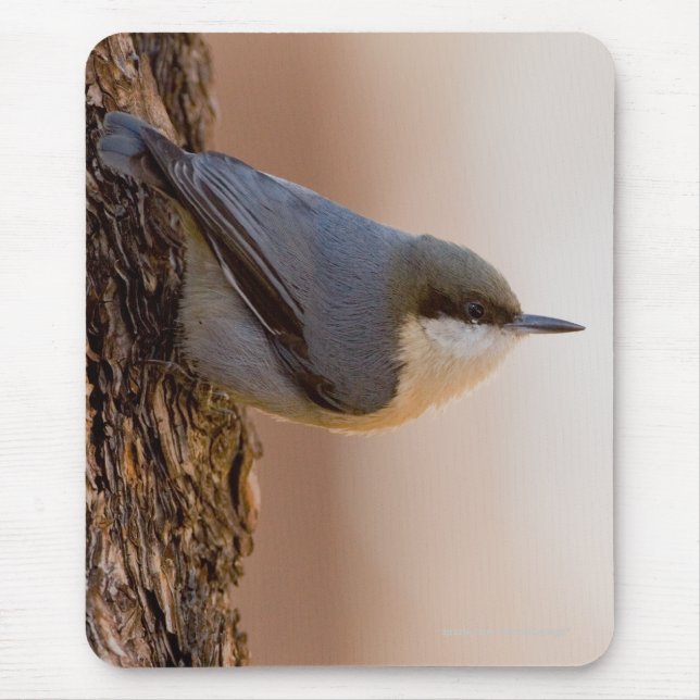 Brown-headed Nuthatch Mouse Pad (Front)
