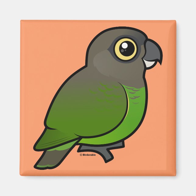 Brown-headed Parrot Magnet (Front)
