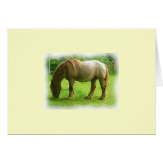 Brown horse