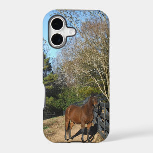 Brown Horse against a Fence