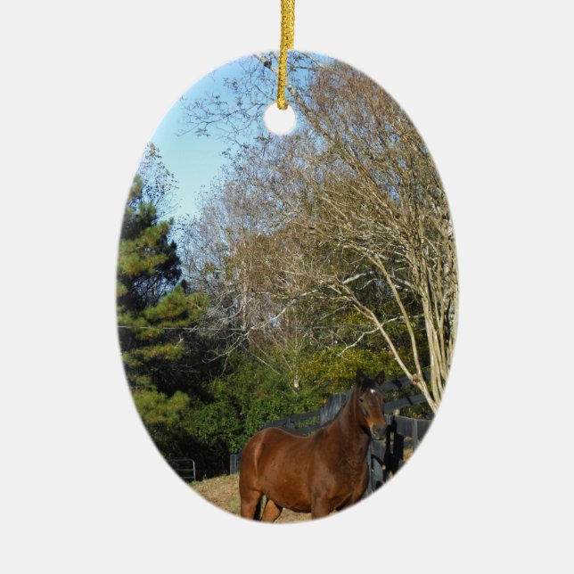 Brown Horse against a Fence Ceramic Tree Decoration (Front)