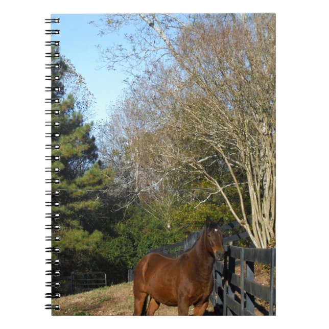 Brown Horse against a Fence Spiral Notebook (Front)