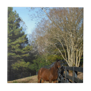 Brown Horse against a Fence Tile