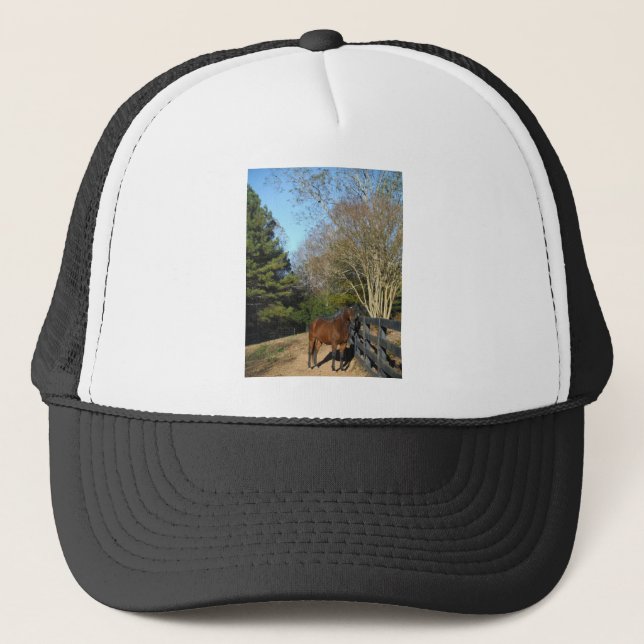 Brown Horse against a Fence Trucker Hat (Front)