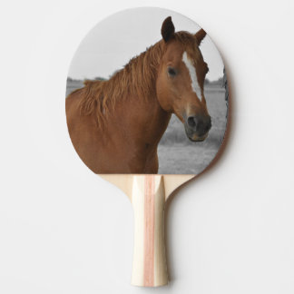 Brown Horse, B&W Background Ping Pong Paddle
