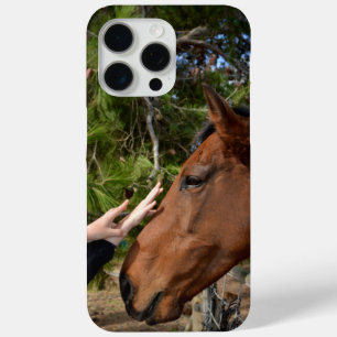 Brown Horse Called Bennie Loving A Pat, iPhone 15 Pro Max Case