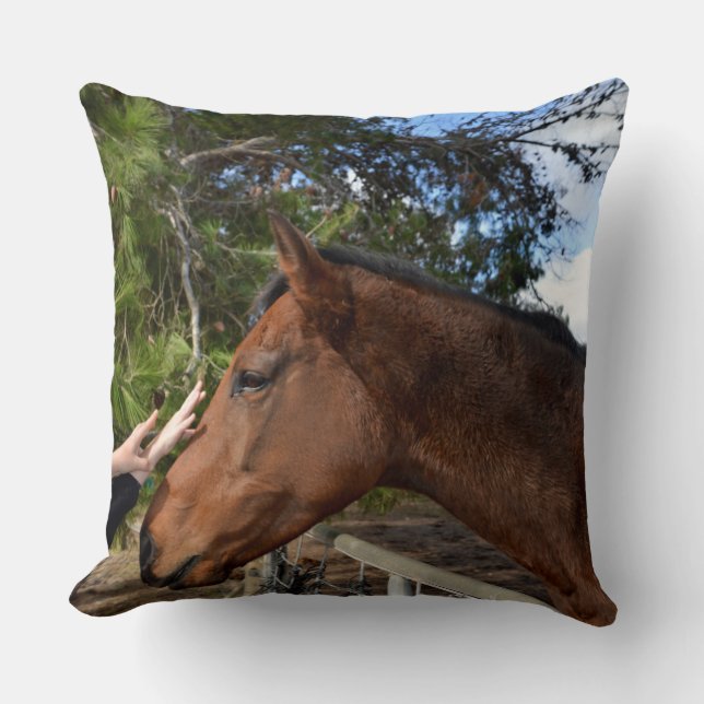 Brown Horse Called Bennie Loving A Pat, Cushion (Front)