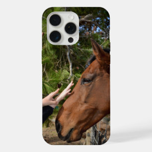 Brown Horse Called Bennie Loving A Pat, iPhone 15 Pro Max Case