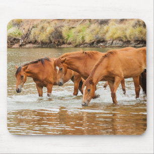 Brown Horse family at the river Mouse Pad