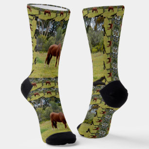 Brown Horse Grazing, Crew Socks