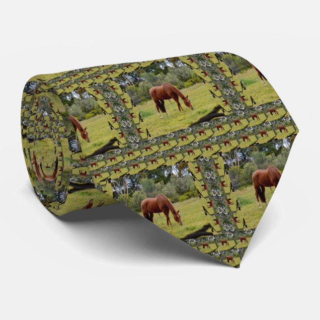 Brown Horse Grazing In Paddock, Tie (Rolled)