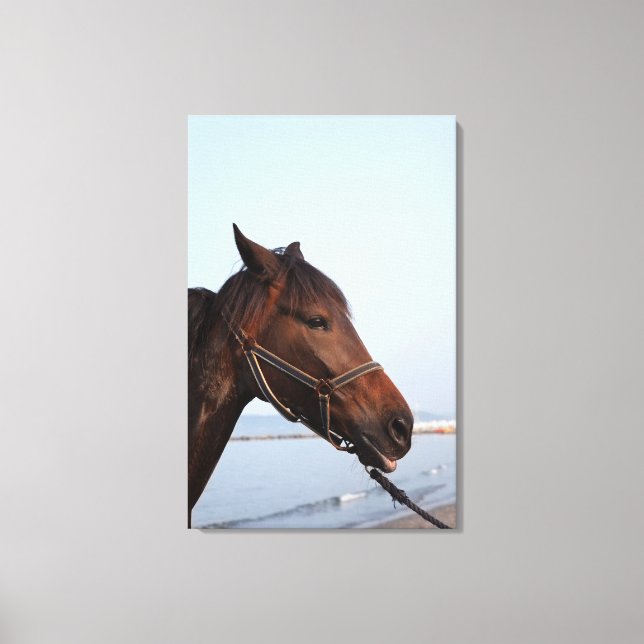Brown horse head canvas print (Front)
