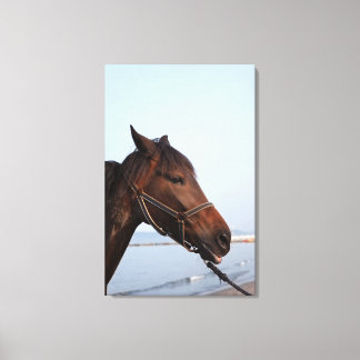 Brown horse head canvas print