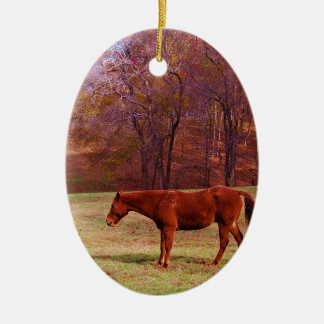Brown horse in a grass field ceramic tree decoration (Front)