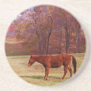 Brown horse in a grass field coaster