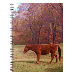 Brown horse in a grass field spiral notebook