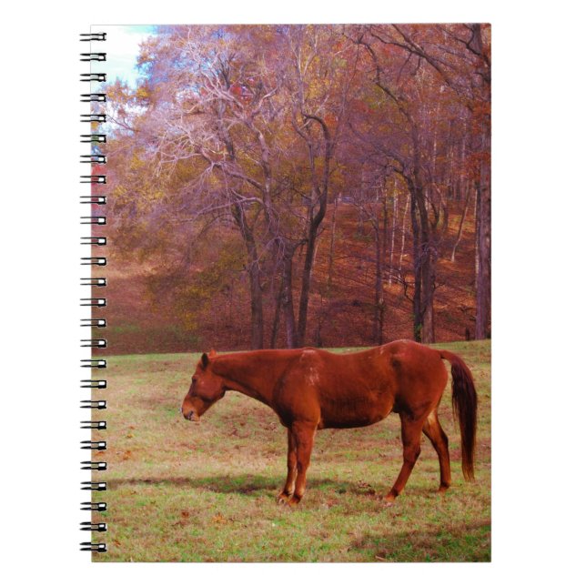 Brown horse in a grass field spiral notebook (Front)