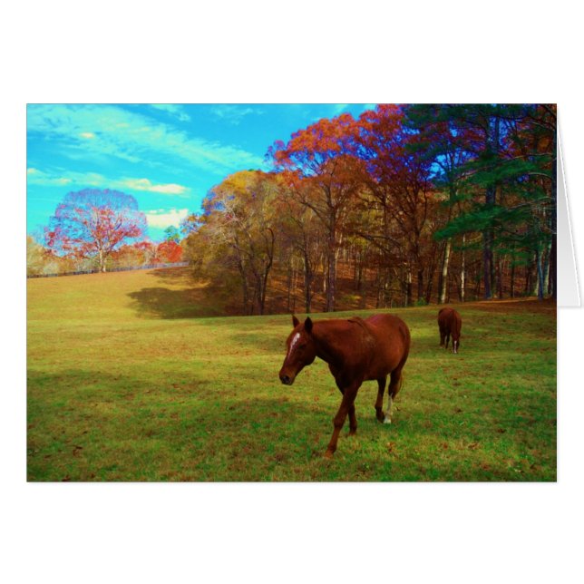 Brown Horse in a Rainbow coloured field (Front Horizontal)