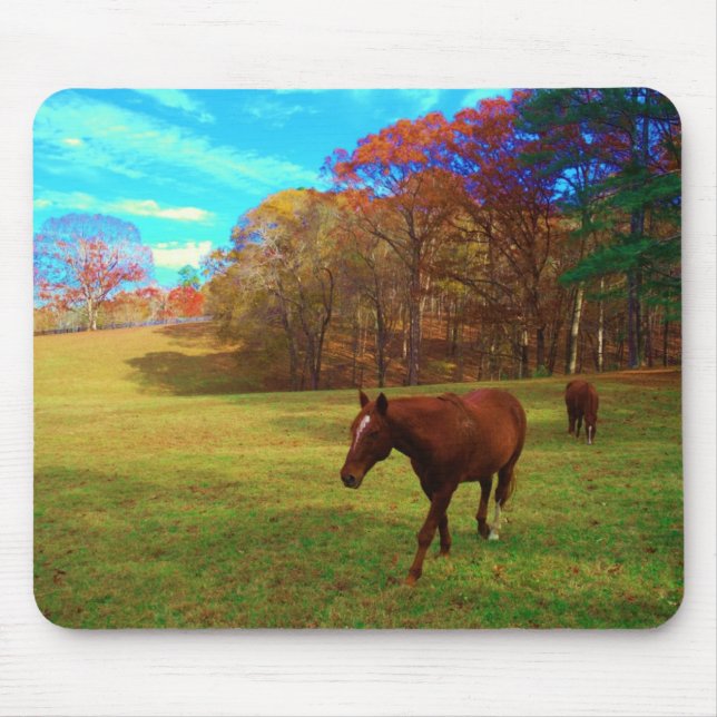 Brown Horse in a Rainbow coloured field Mouse Pad (Front)
