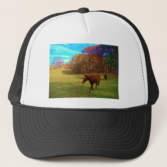 Brown Horse in a Rainbow coloured field Trucker Hat (Front)