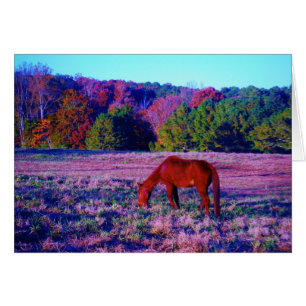 Brown horse in Purple Grass